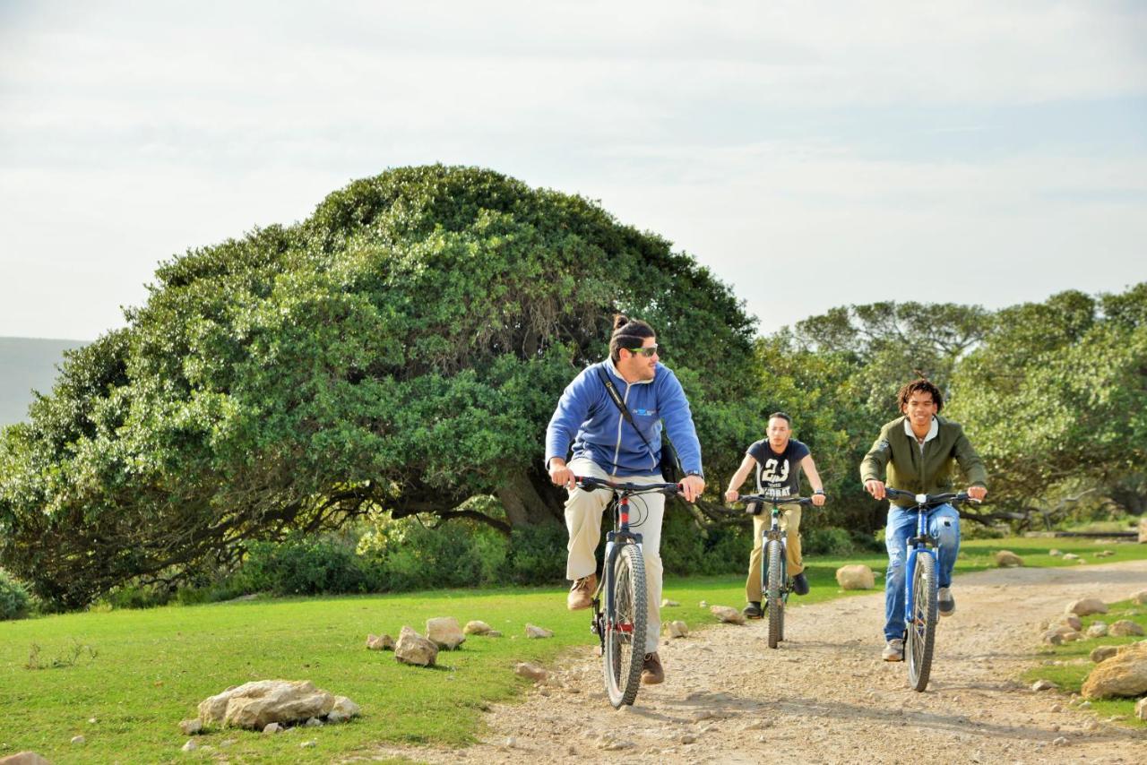 De Hoop Collection - Equipped Cottages De Hoop Nature Reserve Экстерьер фото