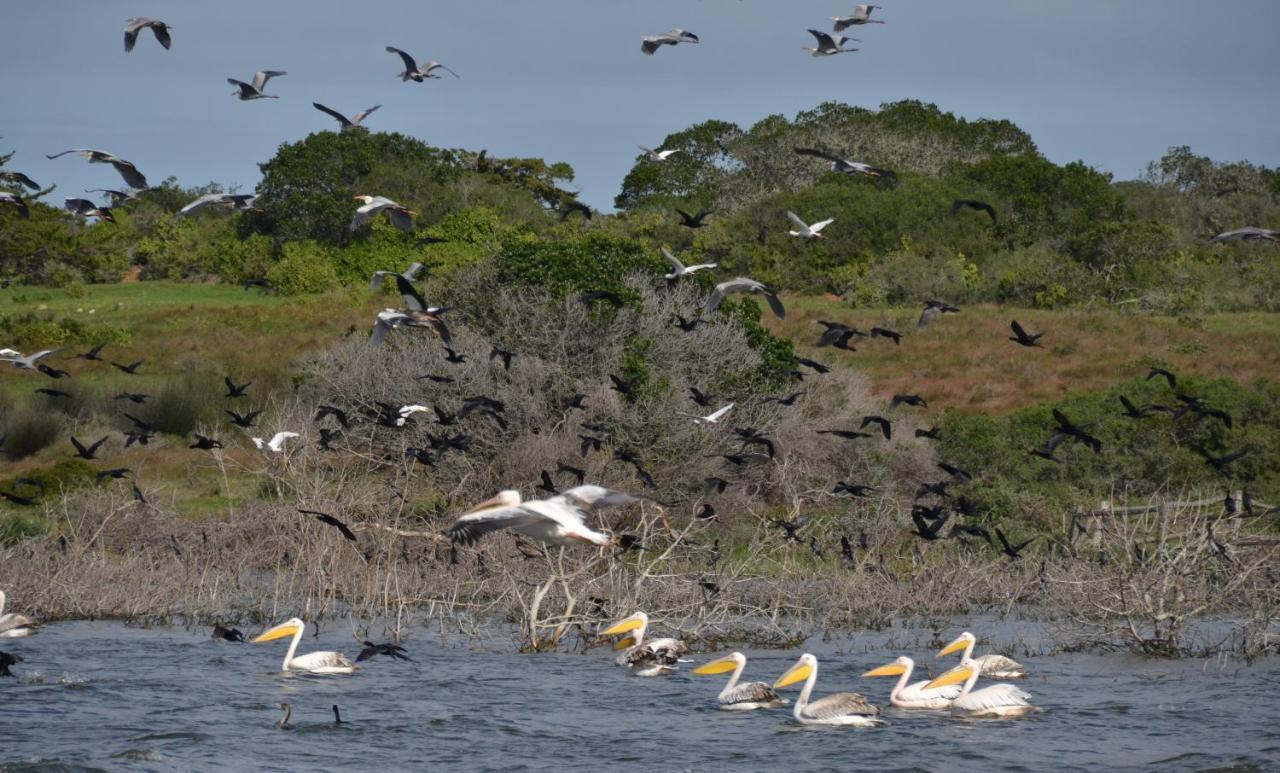 De Hoop Collection - Equipped Cottages De Hoop Nature Reserve Экстерьер фото